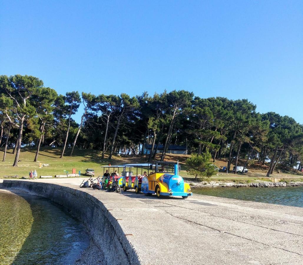 דירות Dream View מדולין מראה חיצוני תמונה